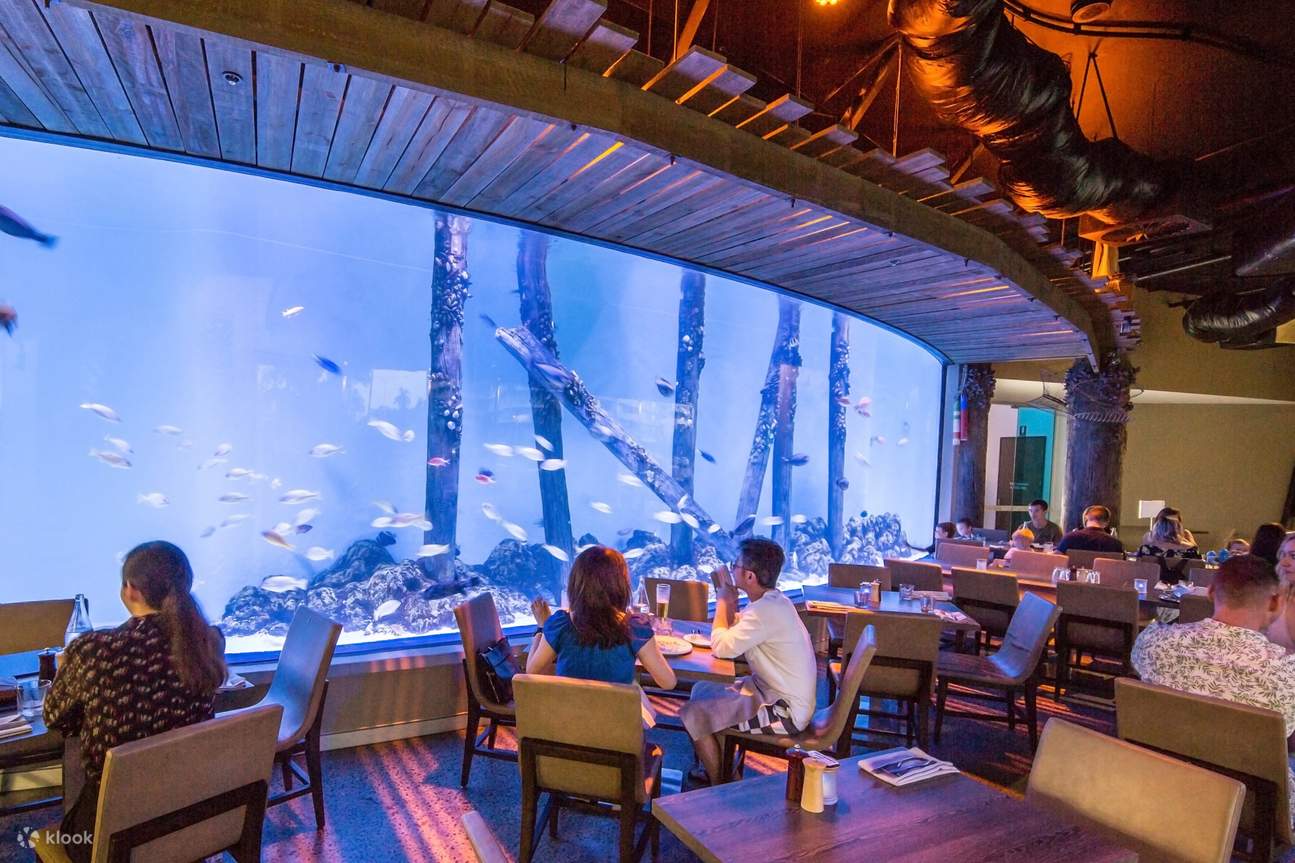 Cairns Aquarium and City Sightseeing Tour Klook India