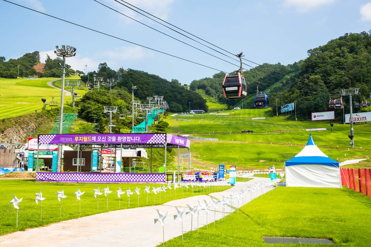 Vivaldi Park Luge Ride & Nami Island Day Tour from Seoul - Klook ...