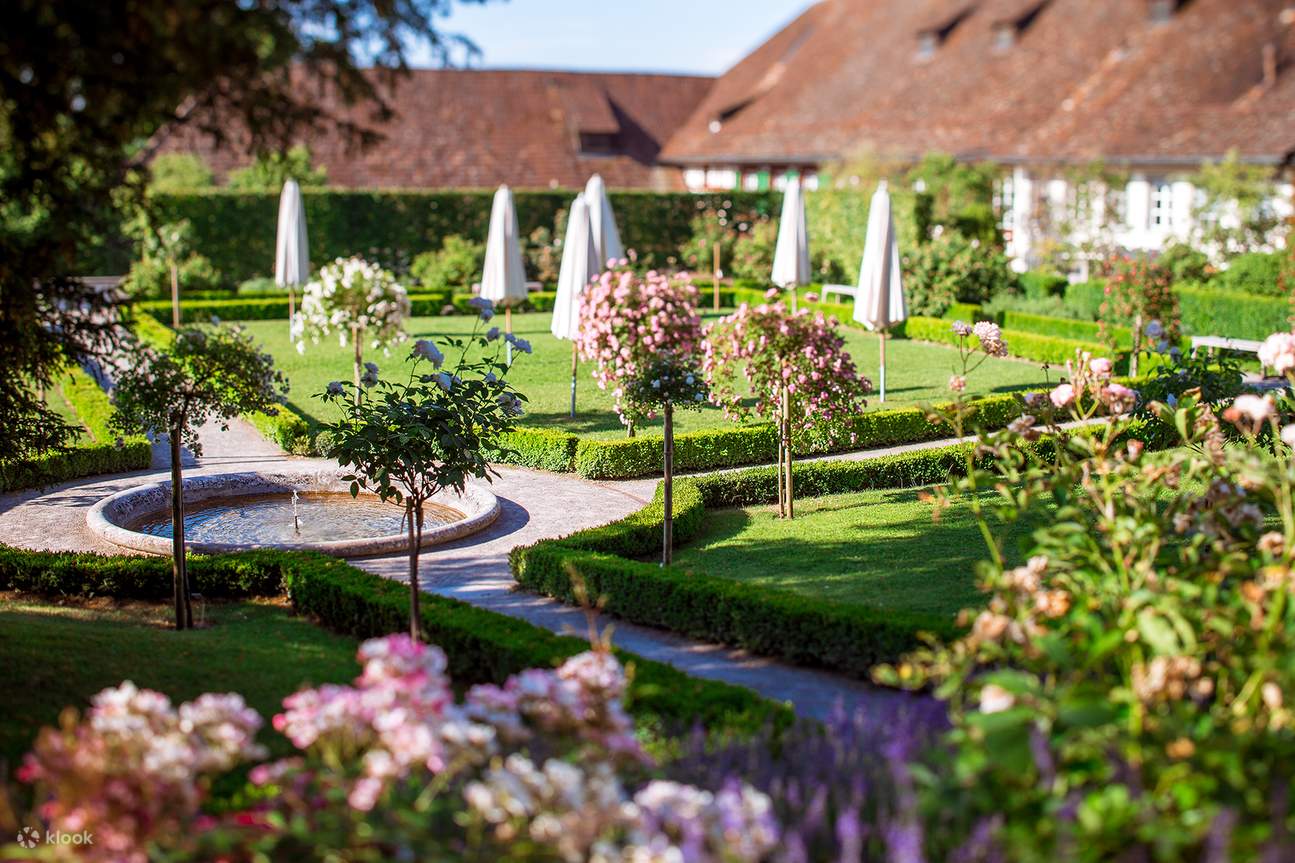 Degustazione di vini e formaggi locali presso il Monastero di Kartause Ittingen