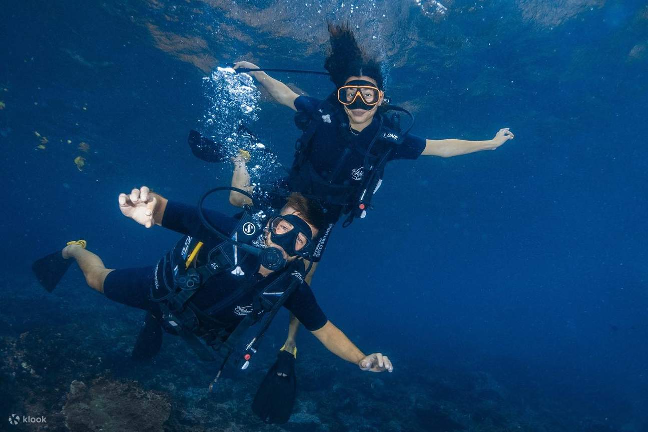 参加我们适合初学者的水肺潜水课程，捕捉您第一次开放水域潜水的激动心情，探索充满活力的海洋生物