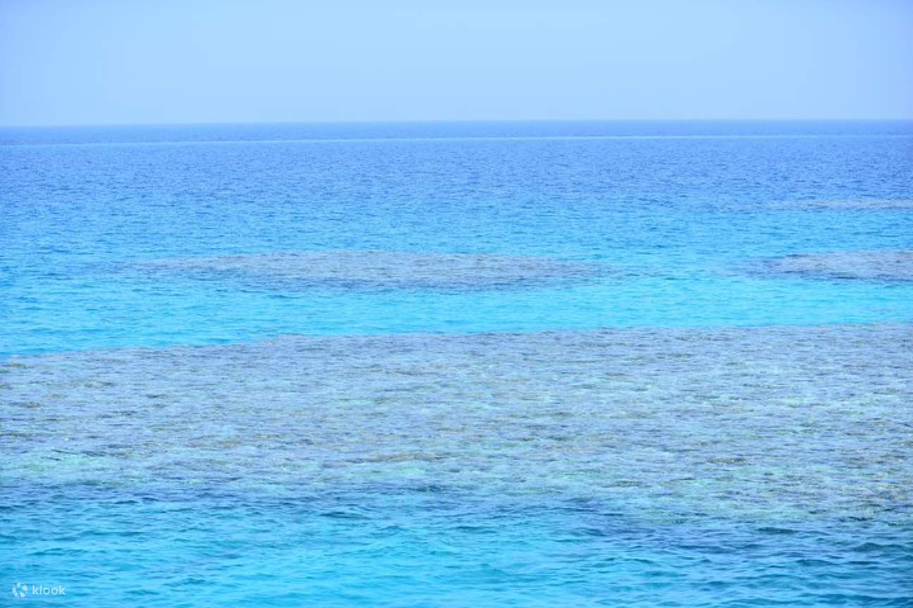 ทริปดำน้ำตื้นที่ Coral Garden และ Intro Dive พร้อมบริการรับส่ง - Marsa Alam