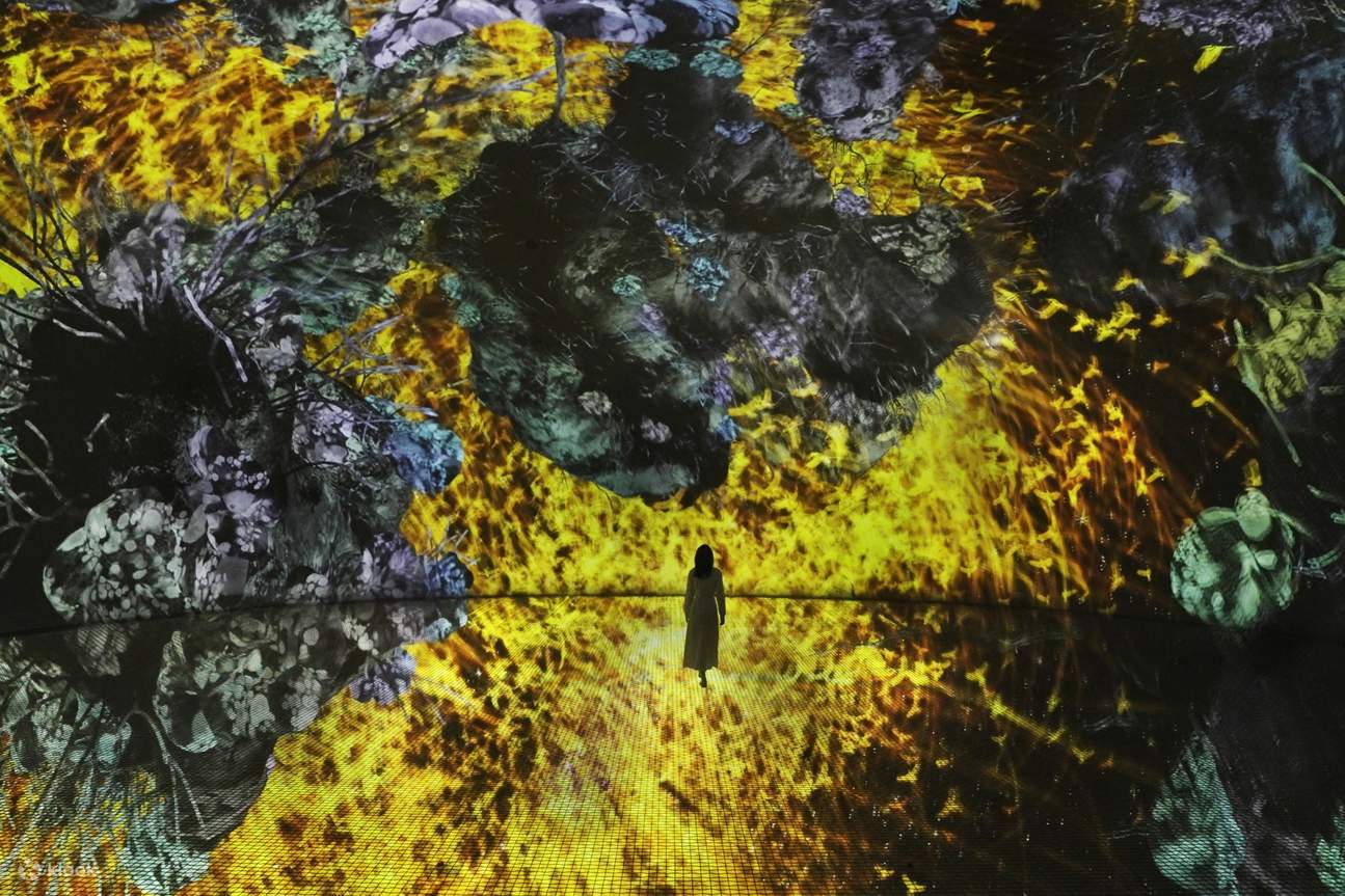 teamLab Phenomena Abu Dhabi Ticket