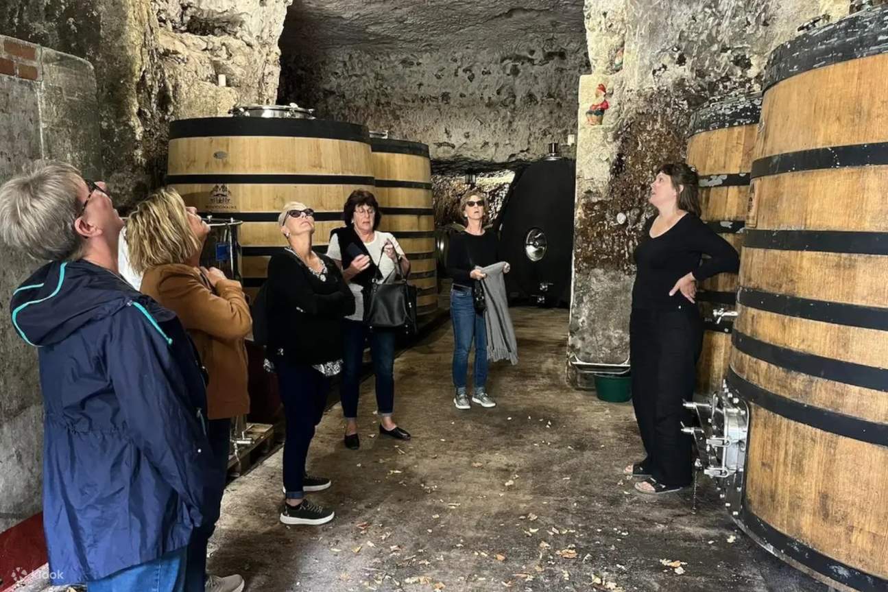 Excursion œnologique d'une journée dans la vallée de la Loire au départ de Paris avec déjeuner