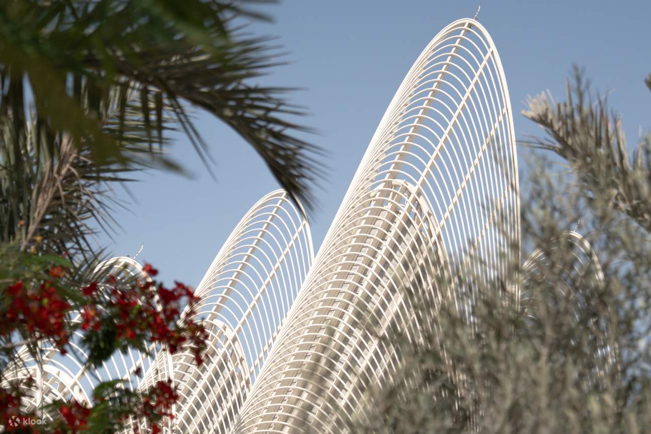 아부다비 자이드 국립 박물관 티켓