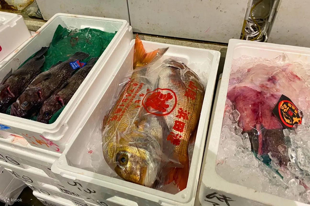 丰洲市场内部可以看到诸多种类的鱼货，寿司师傅当天购买的食材将会在晚上变为美味的寿司料理