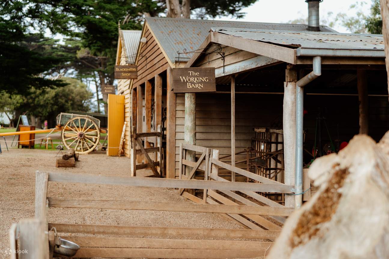 Vé Tham Quan Đảo Churchill ở Đảo Phillip