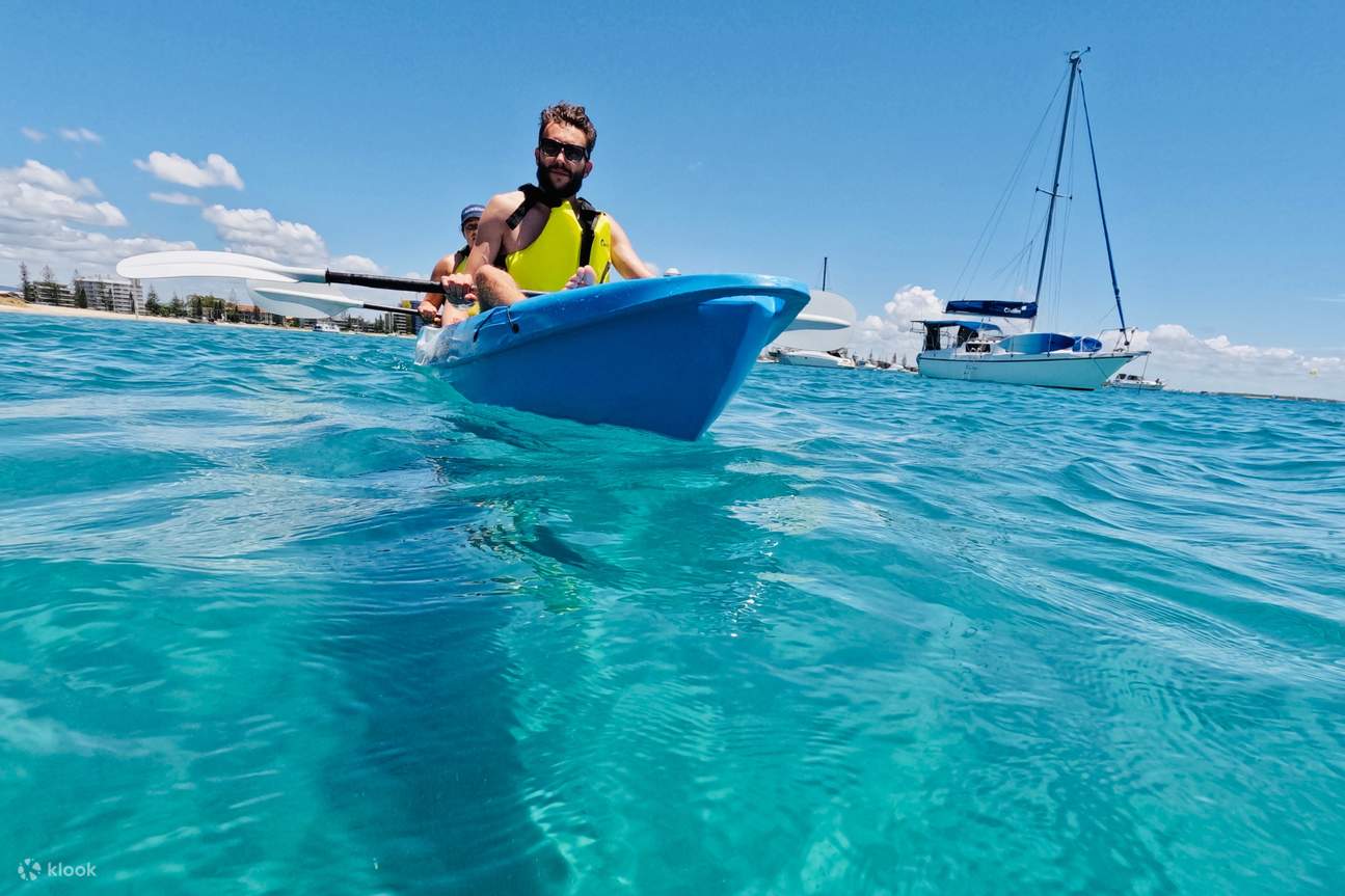 2 Hour Broadwater Dolphin Kayaking & Snorkeling in Gold Coast Kayaking