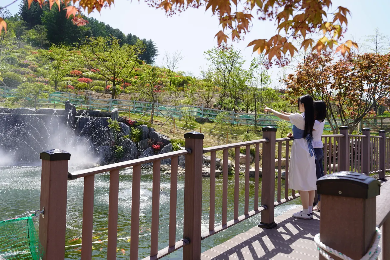 秋海棠鸟园门票（花园，羊驼）京畿道加平市