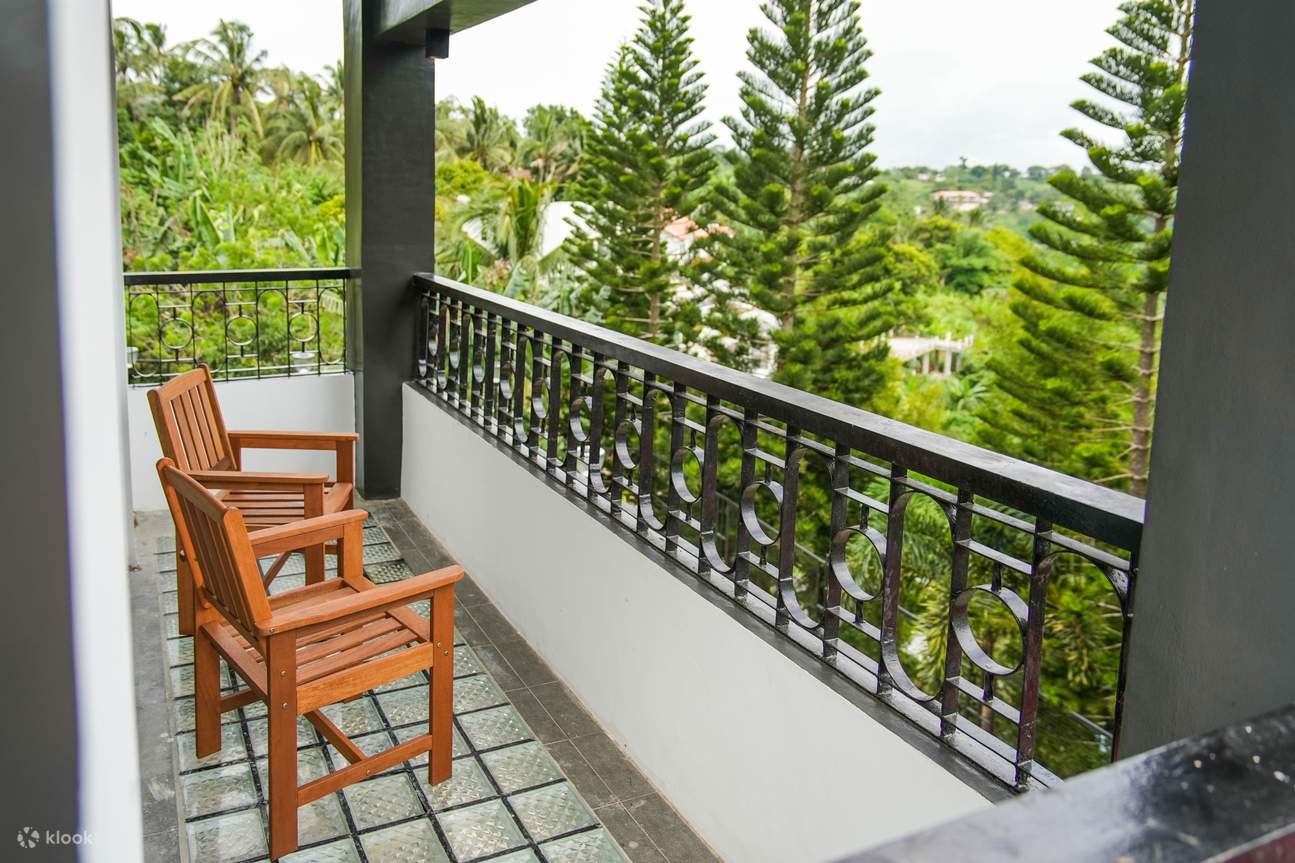 hiên nhìn ra cây thông