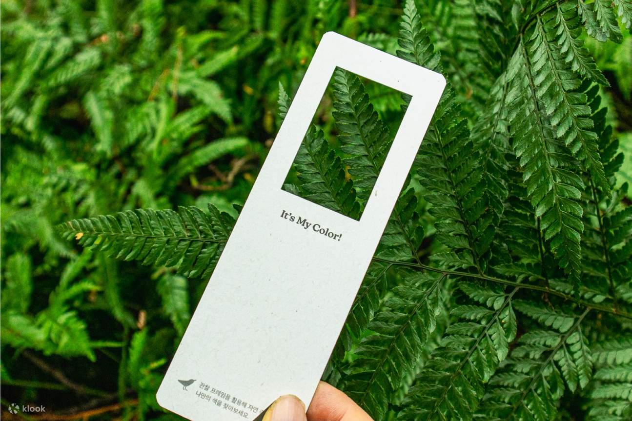 透過簡單的畫框，將風景變成藝術。這就是您尋找「屬於自己的色彩」之旅的開始。