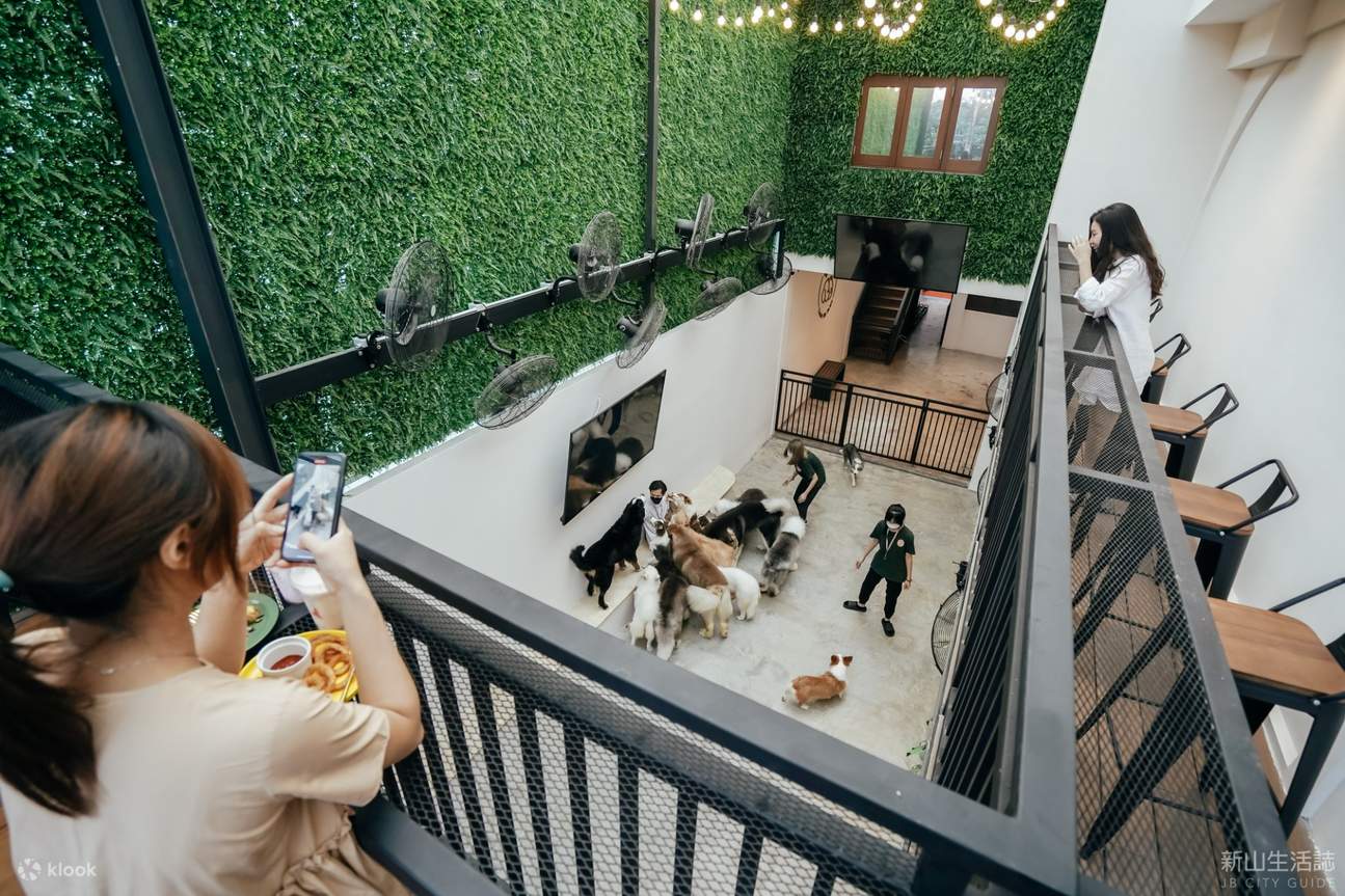 HOME By Tales of Paws