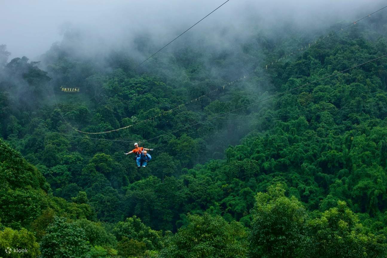 ジップライン体験（チェンマイ / Skyline Jungle Luge Adventure提供）