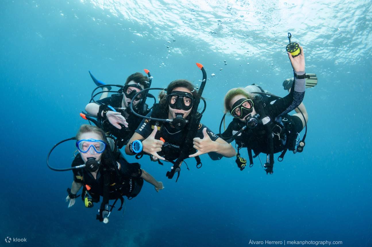 Serunya Diving Di Sekitar Gili Trawangan