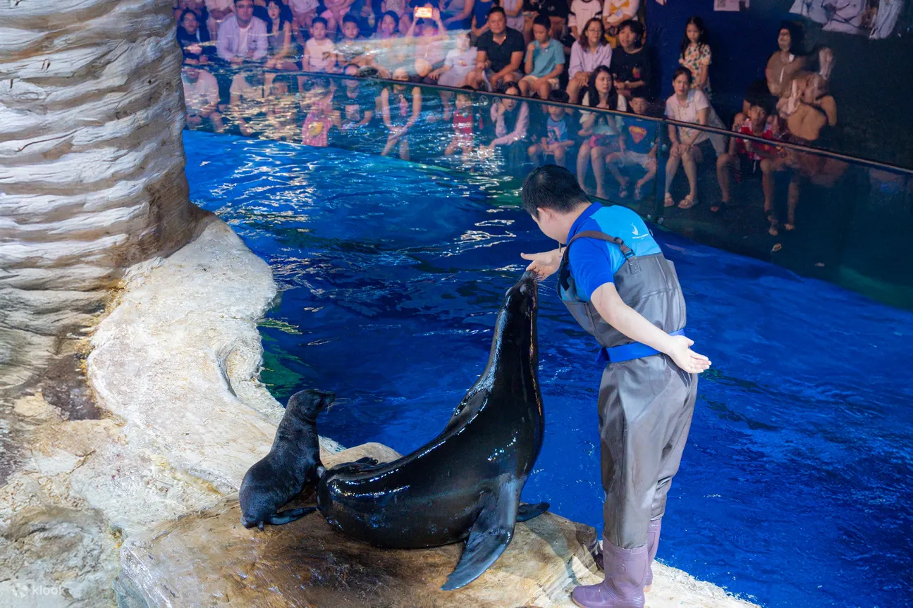 乐天世界水族馆