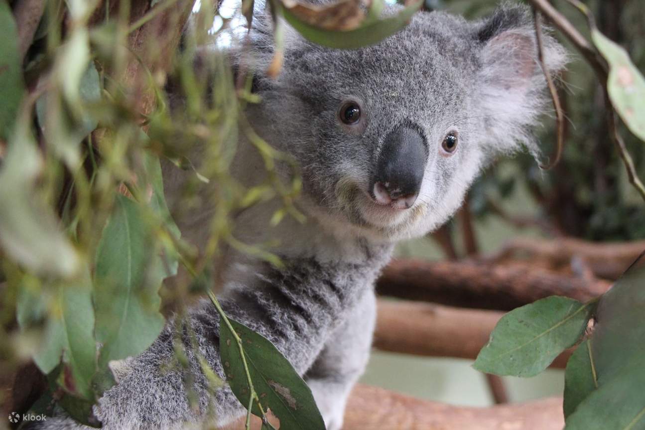 Khám phá hệ sinh thái đa dạng, chiêm ngưỡng những sinh vật tuyệt vời với các gói tour được thiết kế riêng của chúng tôi