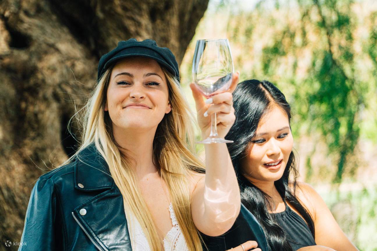 brindis en un viñedo