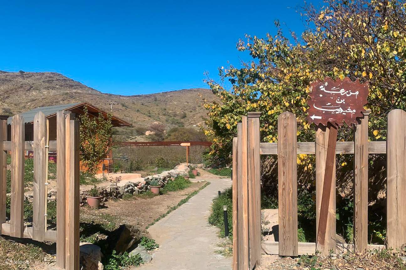 Откройте для себя вкусы Таифа