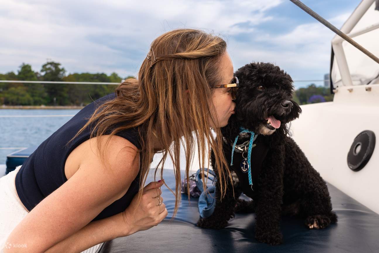 Sydney's 1st Dog Friendly Harbour Cruise: Dogs on Deck