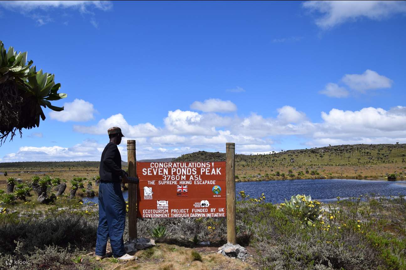 Discover Nature s Magic One Day Hike To The Enchanting Seven Ponds Of discover-nature-s-magic-one-day-hike-to-the-enchanting-seven-ponds-of