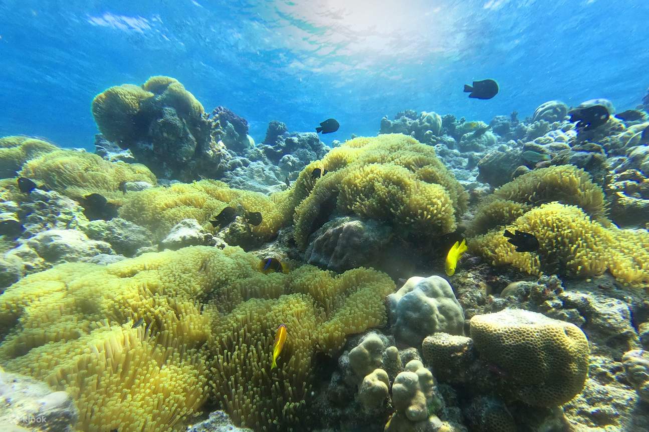 バヤダ島へのボートトリップ