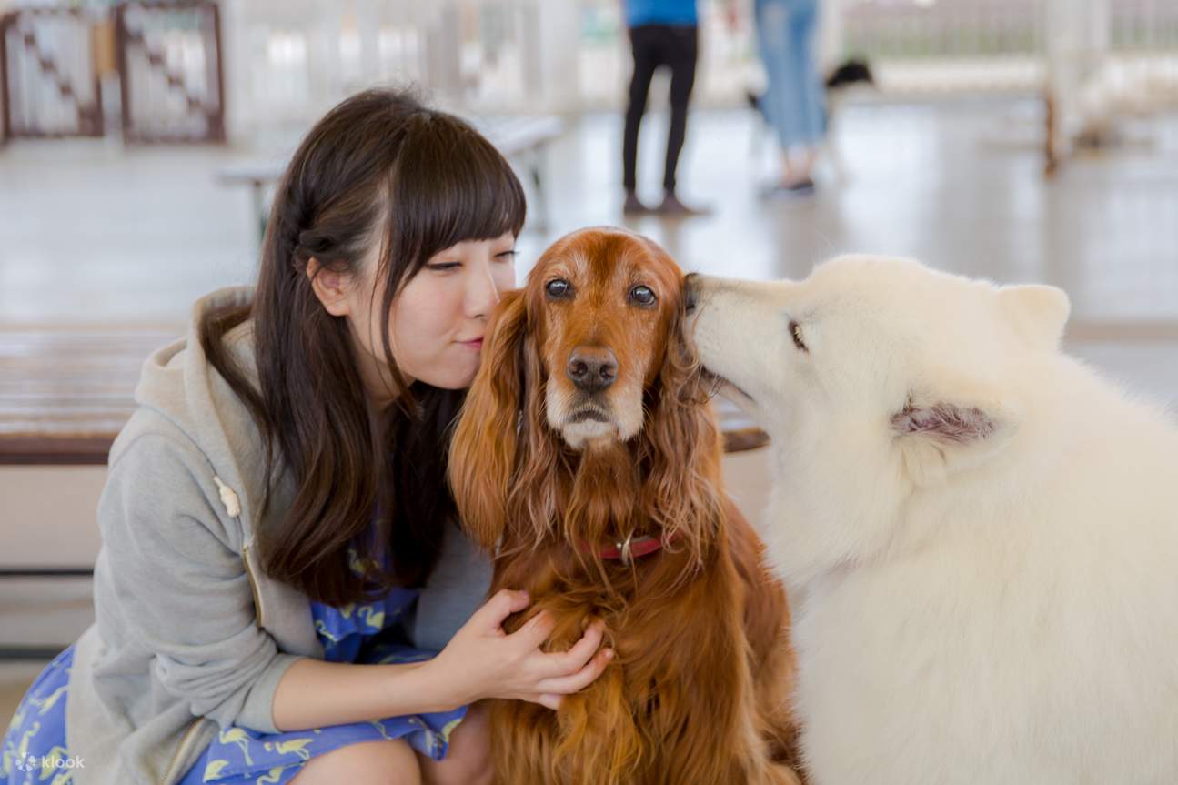 栃木那須動物王國