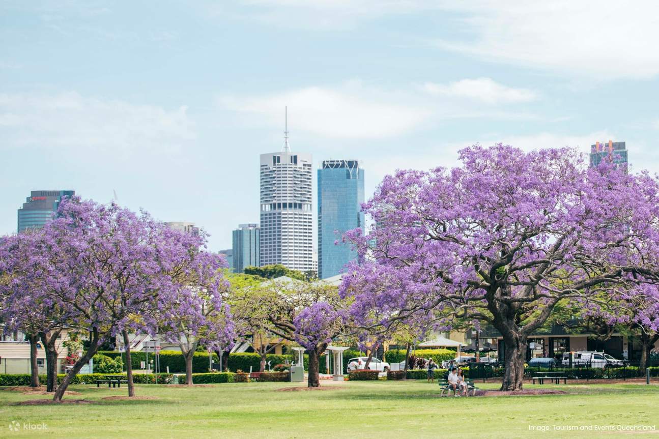 Panorami di Brisbane con il City Highlight Tour