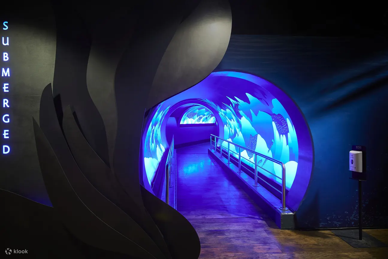 墨爾本海洋生物館 - 墨爾本海洋生物館走廊