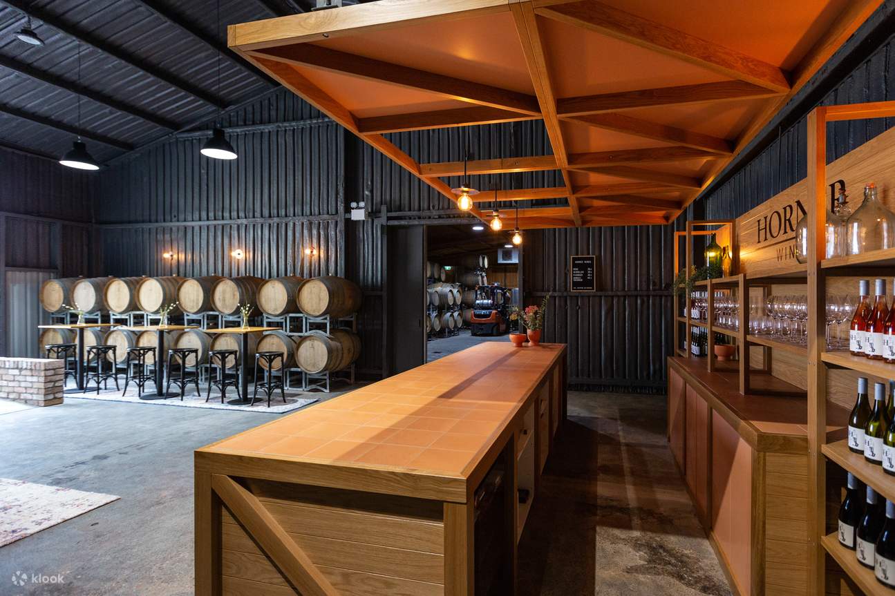 cata de vinos en la bodega 