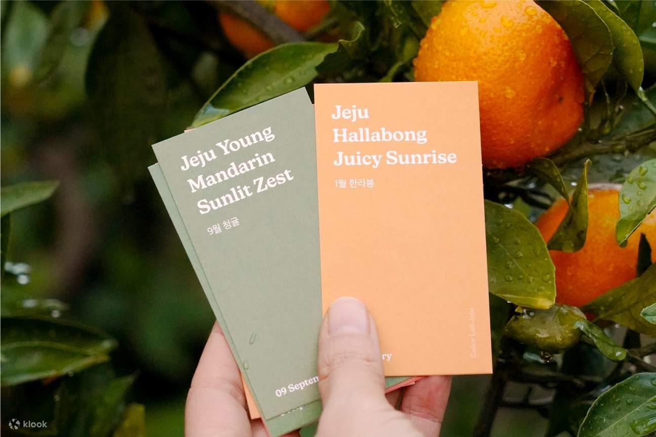 The orange color card chosen from the tangerine orchard reflects the warm, vibrant atmosphere unique to Jeju.