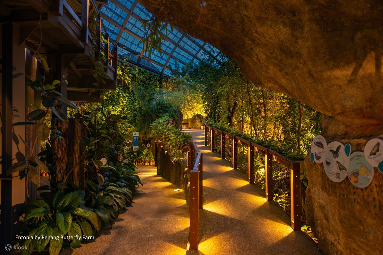 Billet pour Entopia by Penang Butterfly Farm