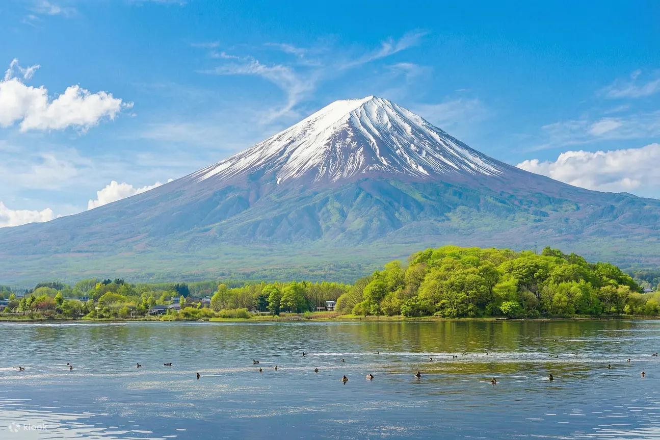 【Khám phá vẻ đẹp hùng vĩ của núi Phú Sĩ trong chuyến đi một ngày】Công viên Arakurayama & Công viên Oishi hồ Kawaguchiko & Oshino Hakkai & Lawson nổi tiếng trên INS & Cửa hàng đồng hồ Nichikawa (Khởi hành từ Tokyo)