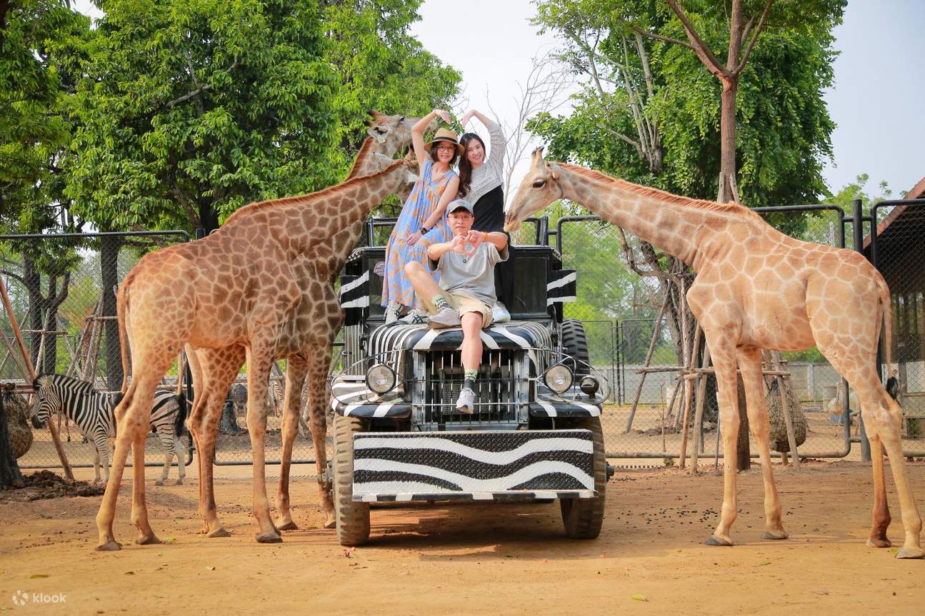 Vé Công Viên Sư Tử Sriayuthaya