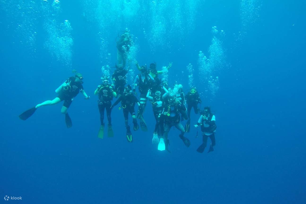 Diving Experience by PADI 5 Star Czone Dive Center in Koh Tao Klook