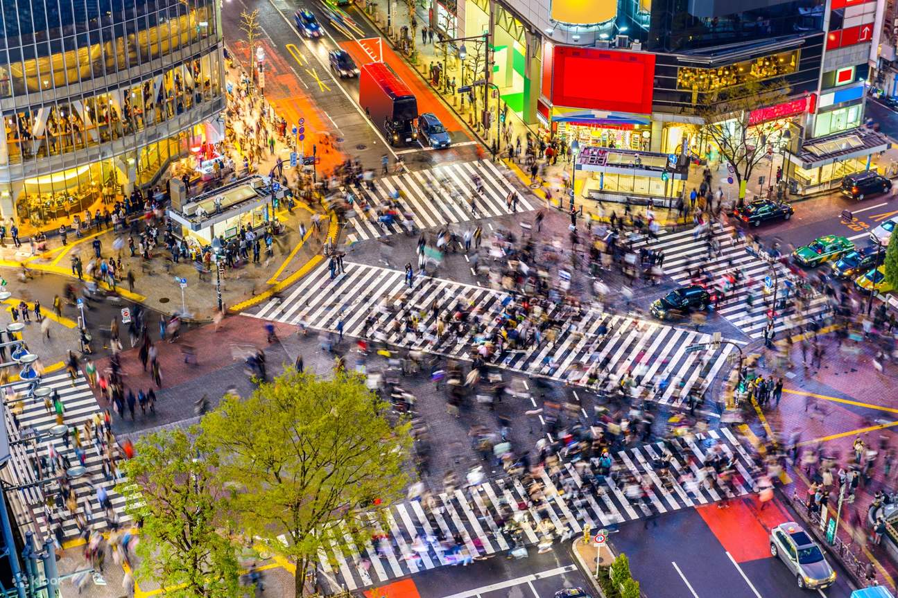 Half Day Tokyo Afternoon Small Group Tour Klook Singapore Half Day Tokyo Afternoon Small Group Tour Klook Singapore