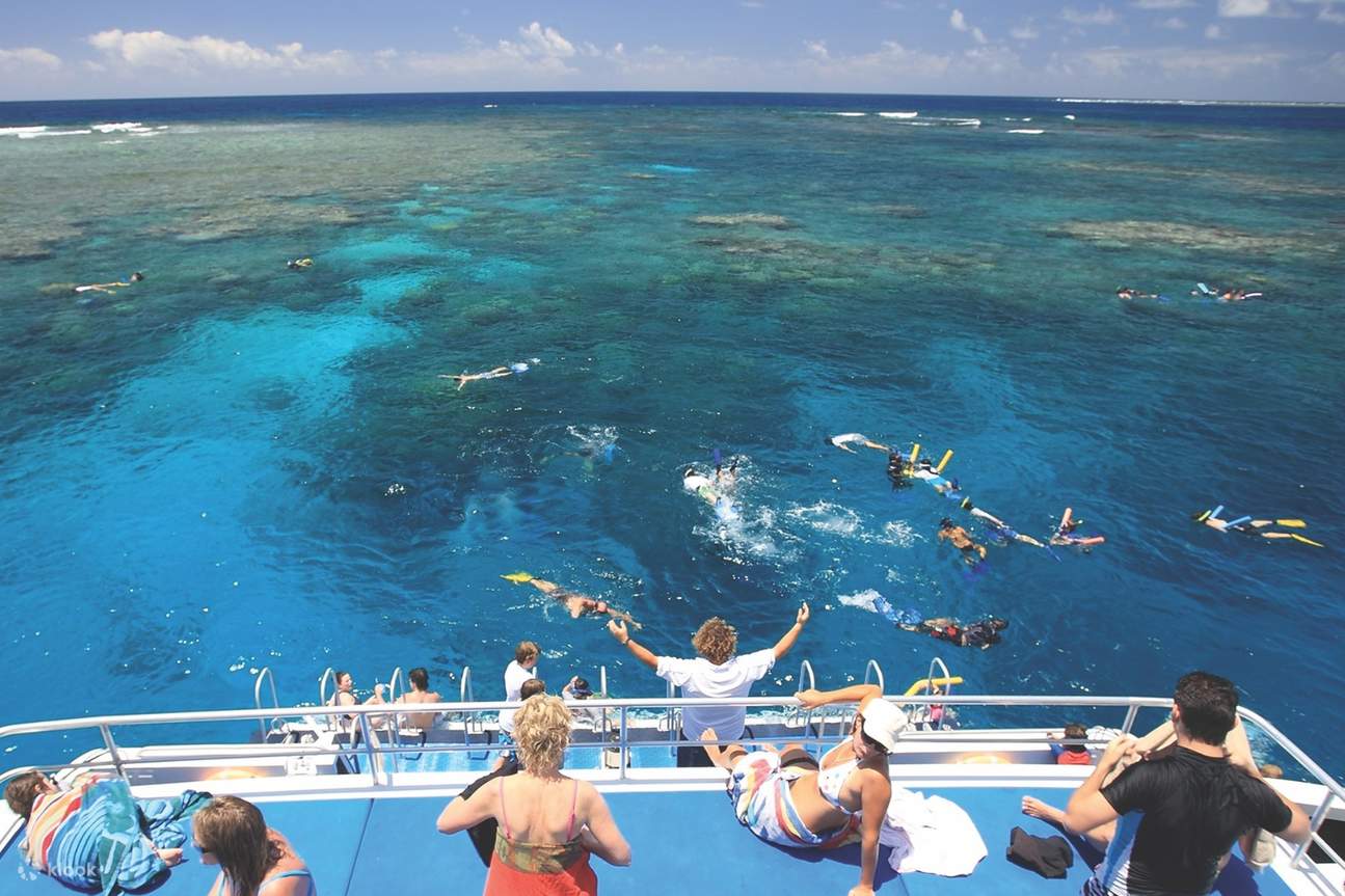 personnes faisant de la plongée avec tuba et pont arrière du bateau