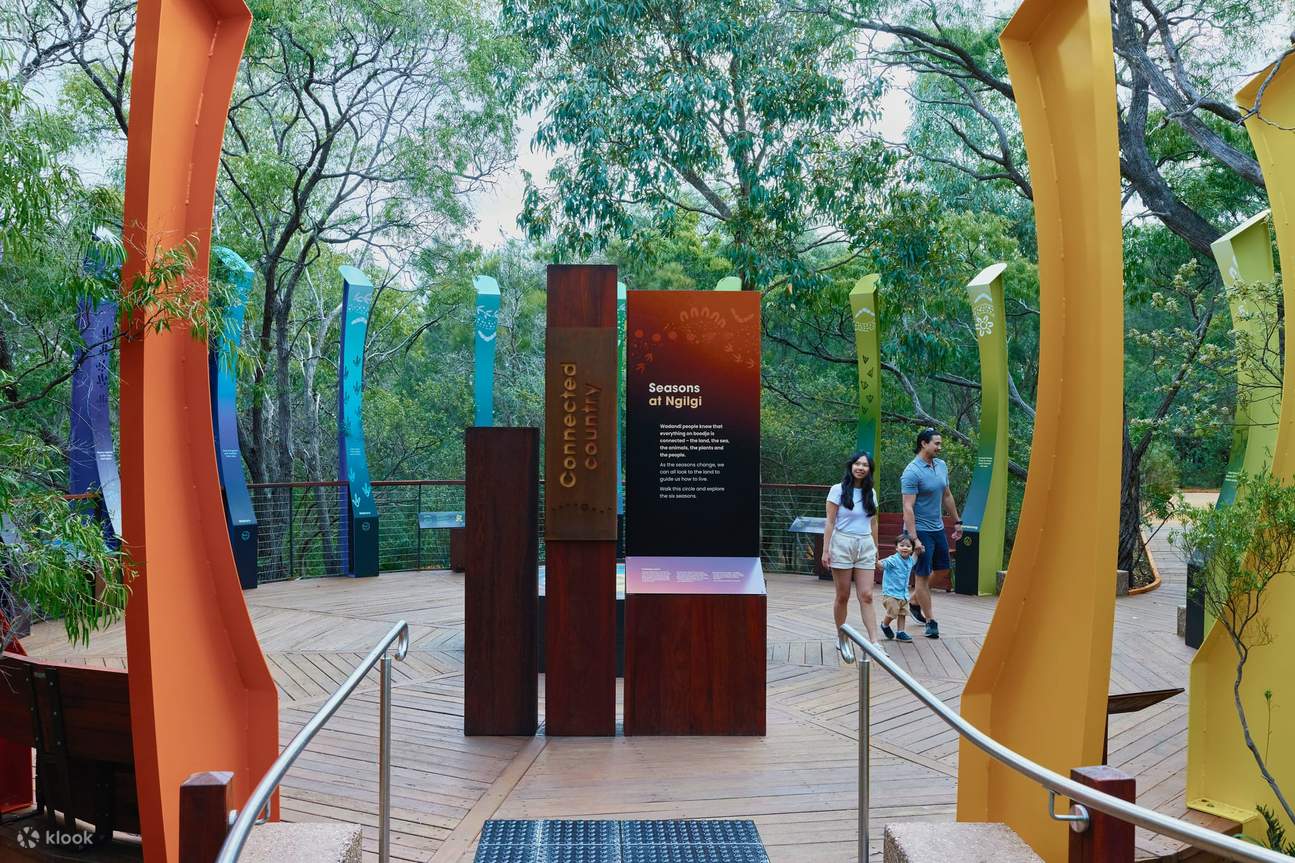 吉尔吉洞穴探索之旅