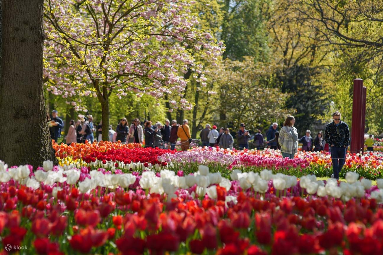 Keukenhof