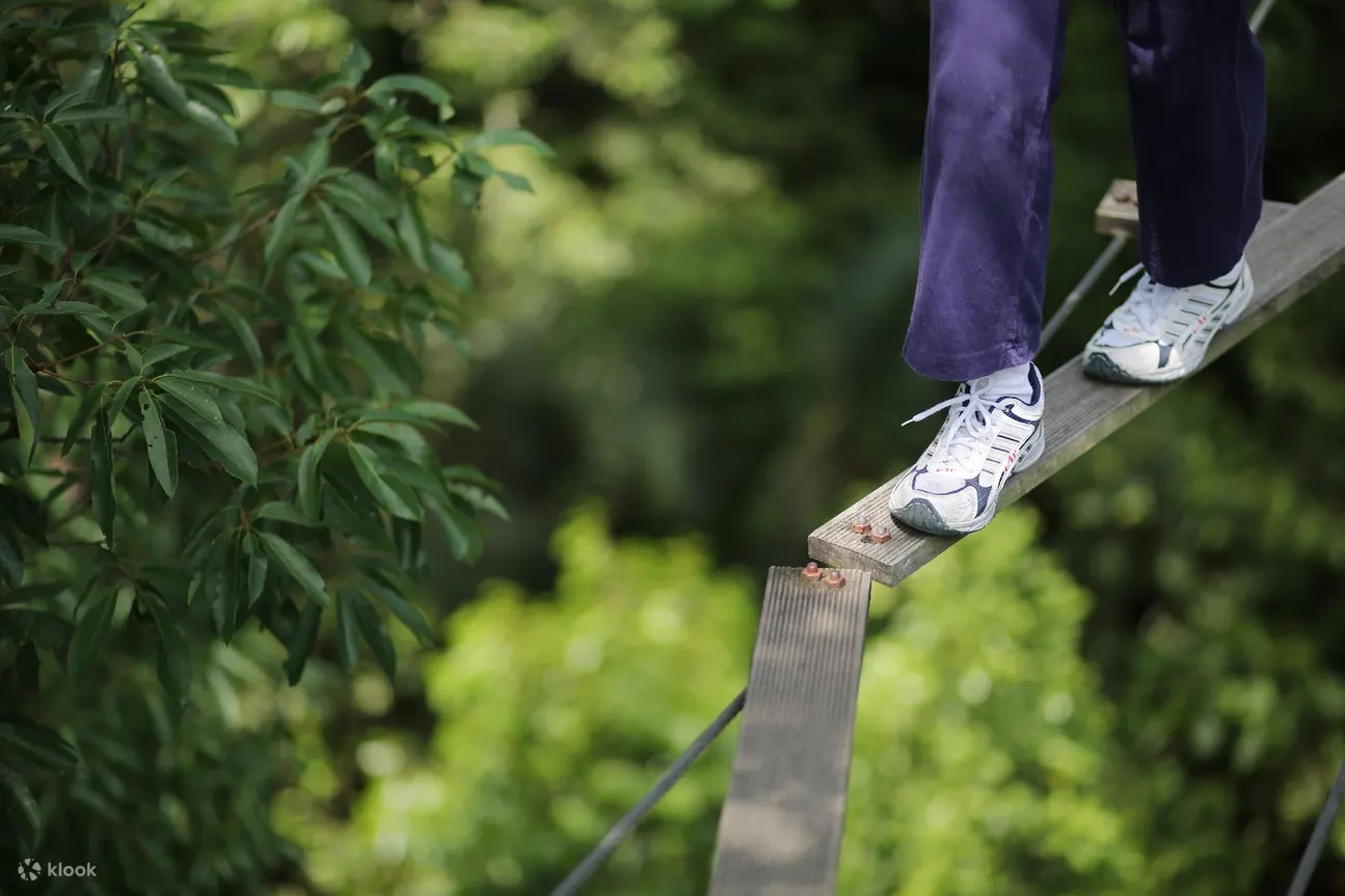 Skytrex Adventure 兰卡威