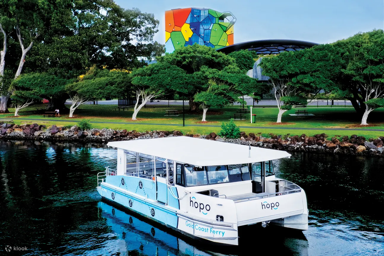 沿着令人惊叹的黄金海岸水道巡游，欣赏美景和声音