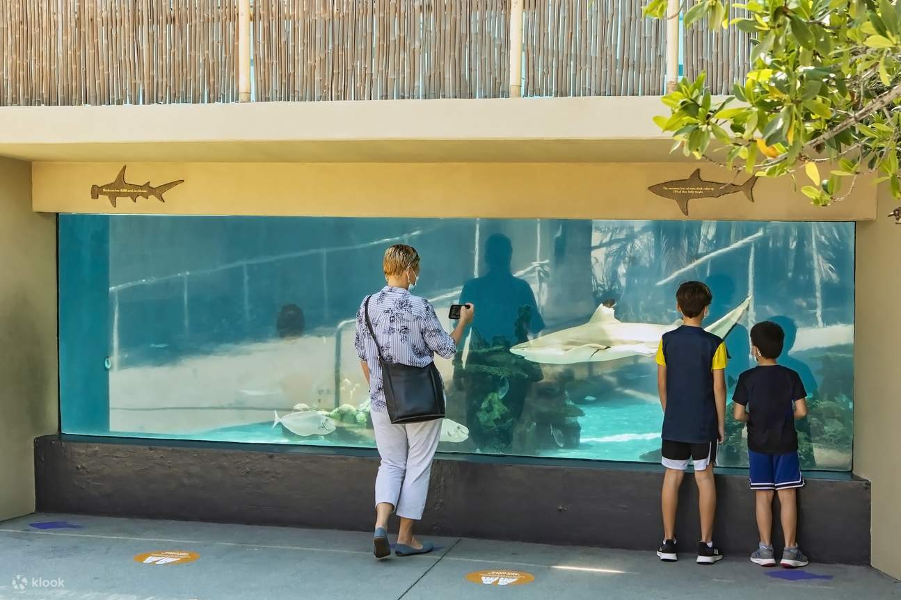 洛杉矶太平洋水族馆门票- Klook客路