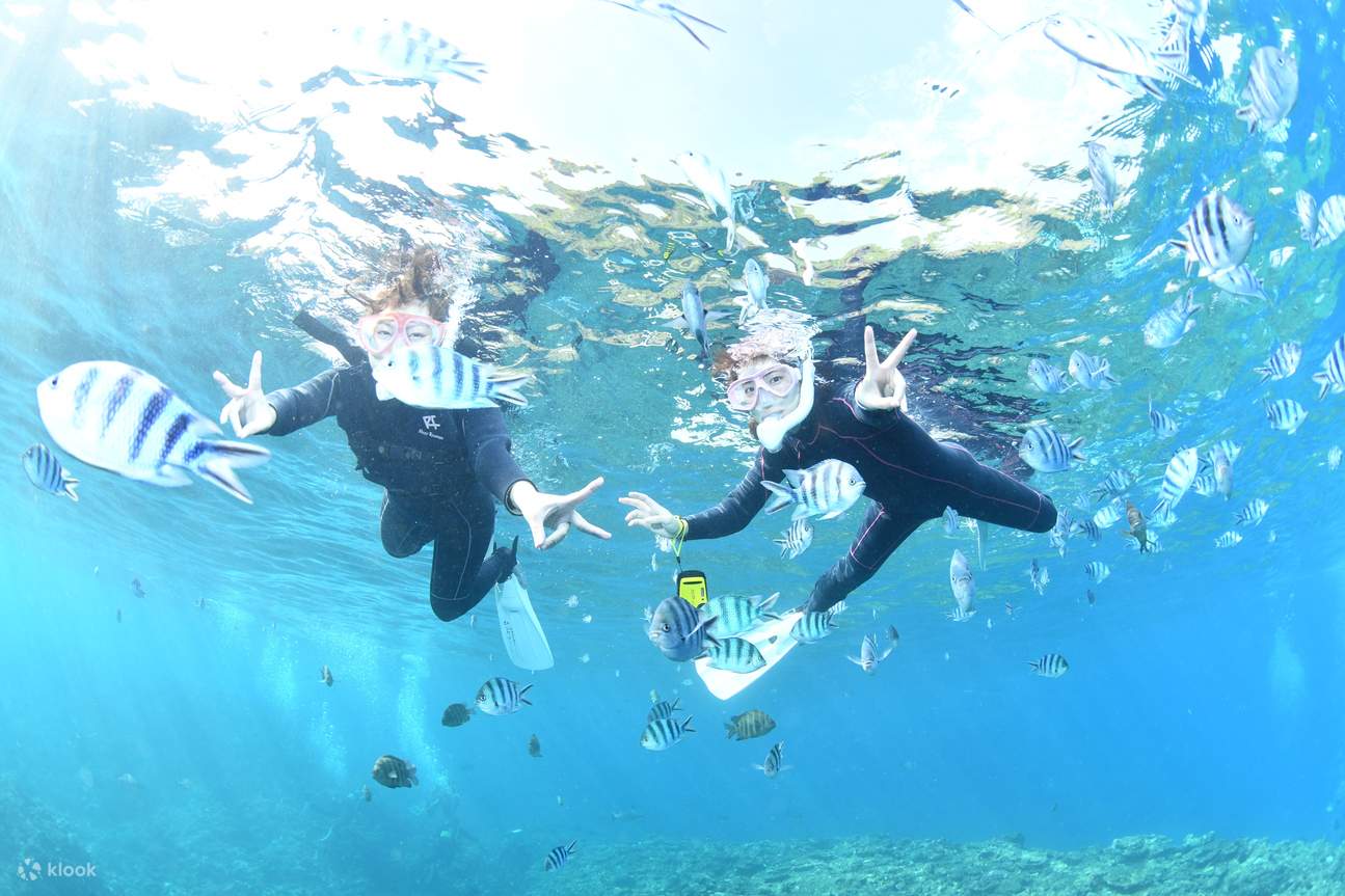 Desa Onna, menyelam dan snorkeling di Gua Biru (jalur perahu) (foto dan video tanpa batas, parkir & shower gratis)