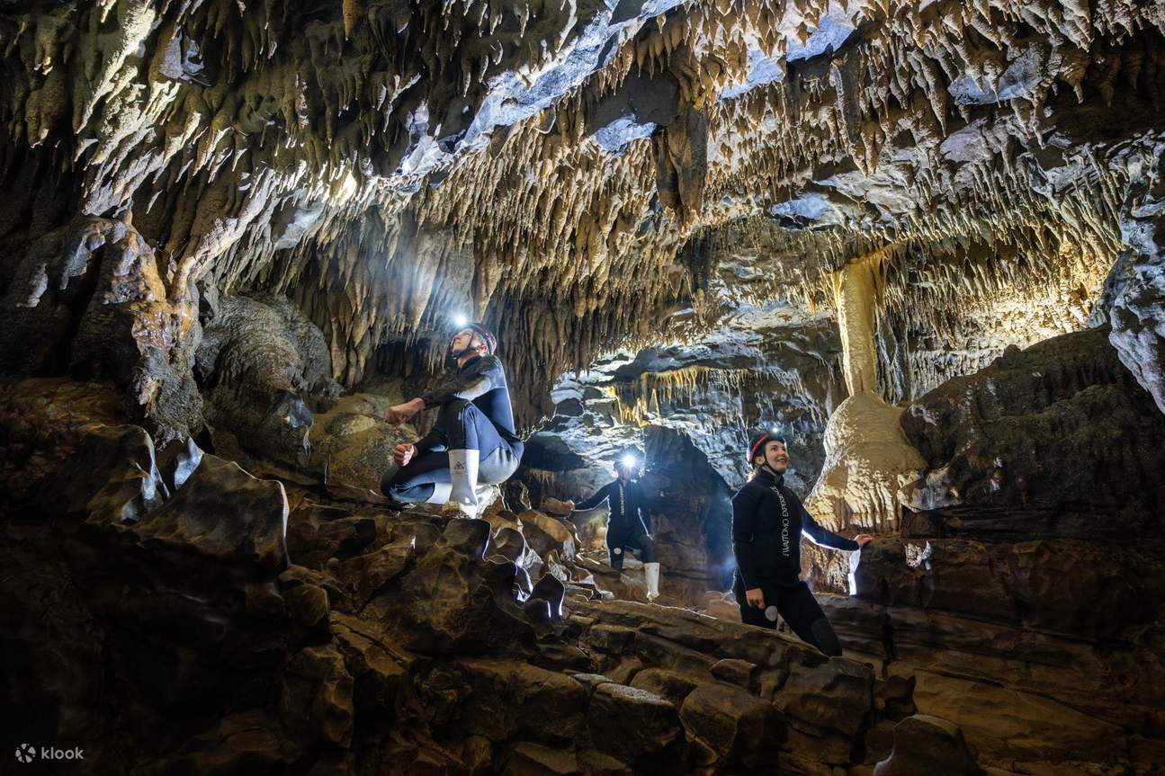 오코후아 반딧불이 동굴 투어