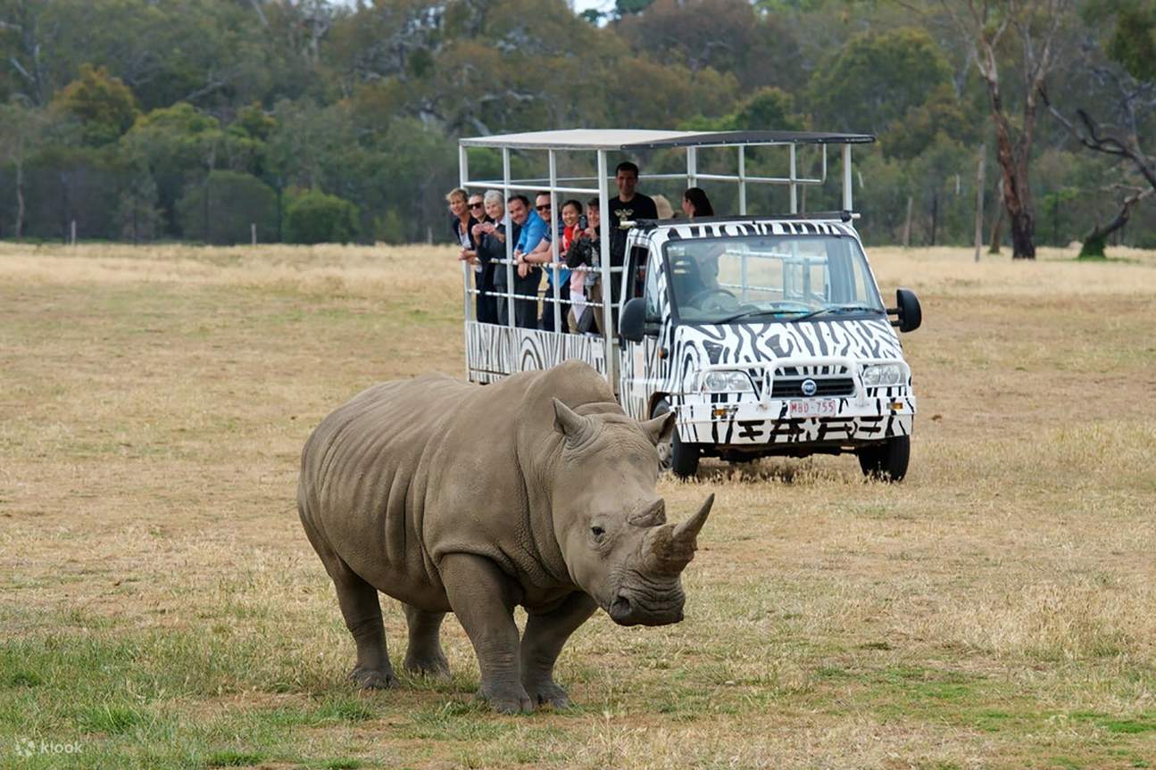 Werribee Open Range Zoo & Werribee Mansion Tour from Melbourne Klook