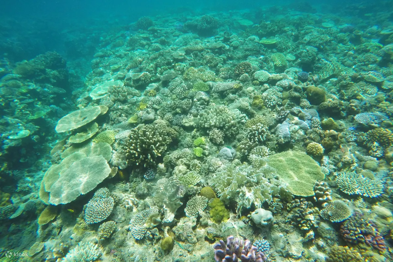海底浮潜