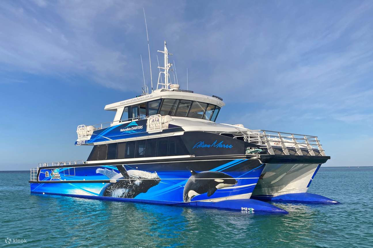 observation des baleines, Bremer Bay