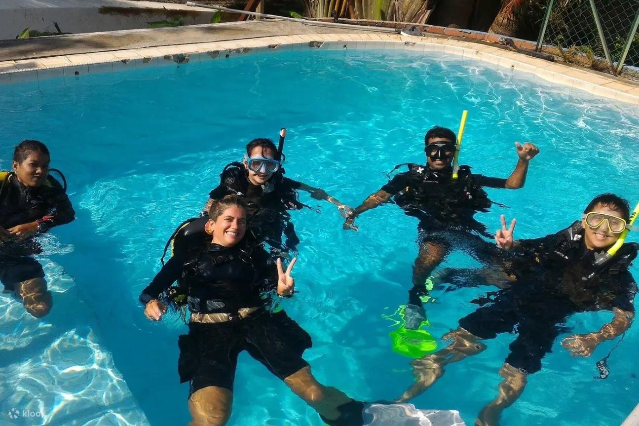 dive participants in a pool