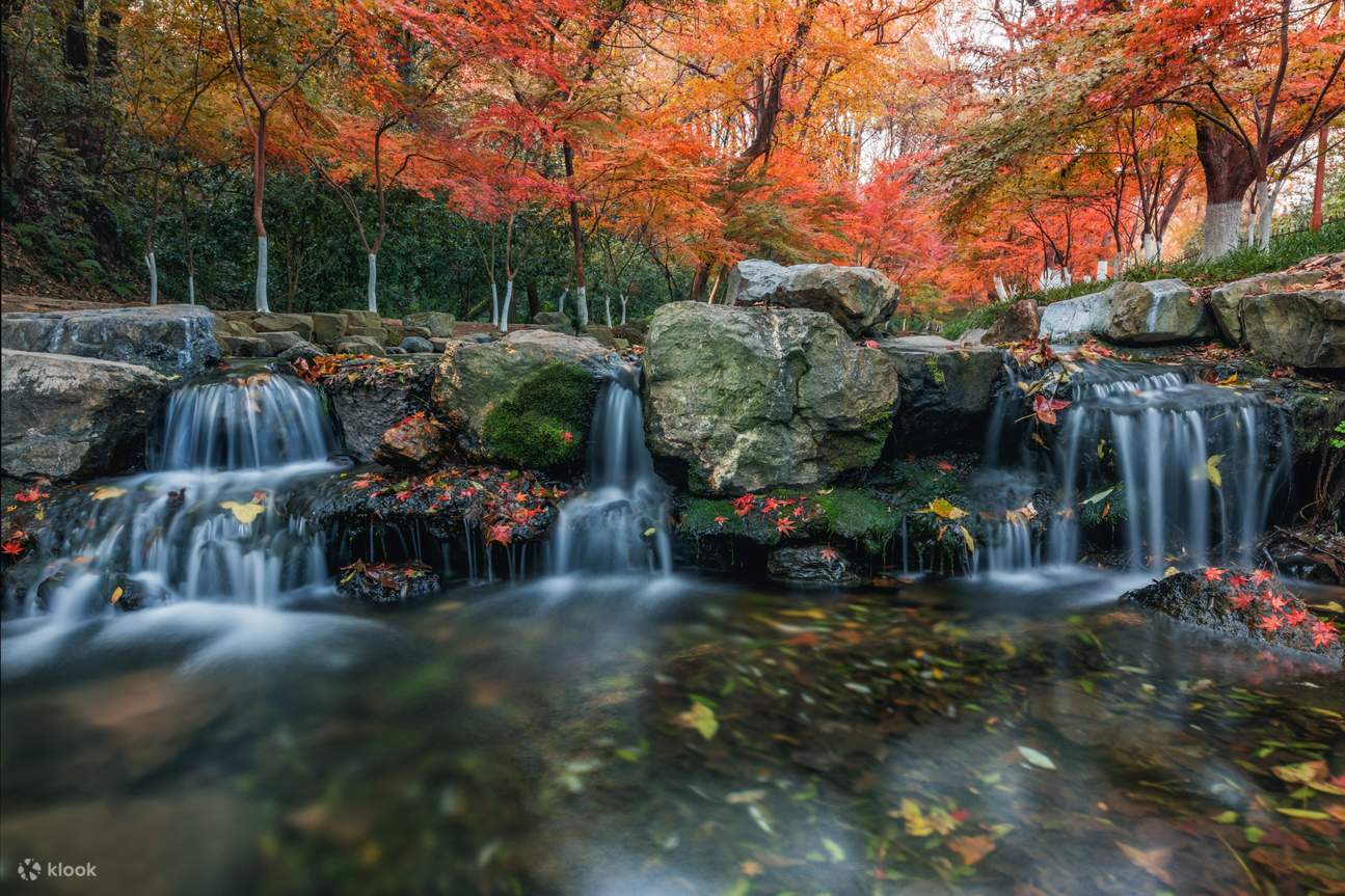 용정문차&만롱계&구계연수 택시투어