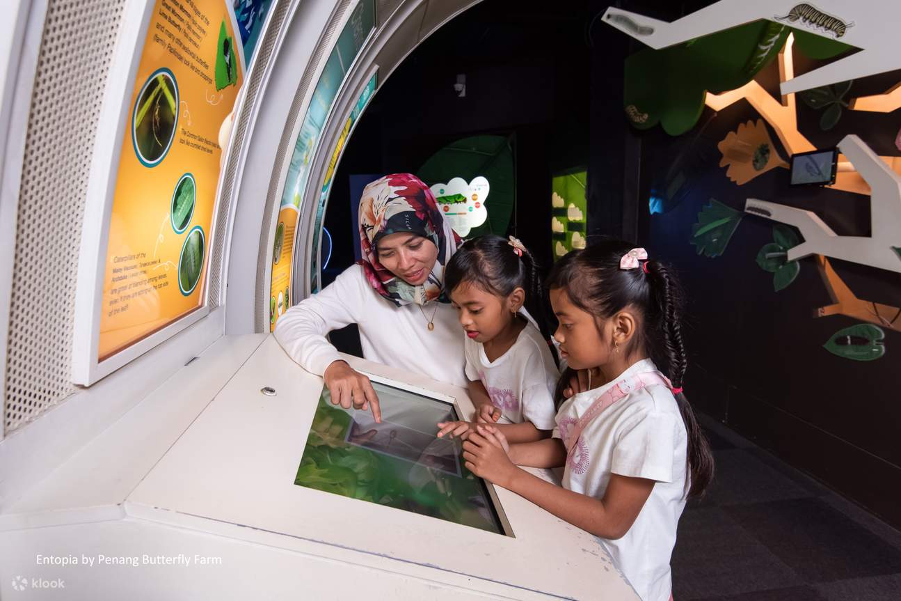 Billet pour Entopia by Penang Butterfly Farm