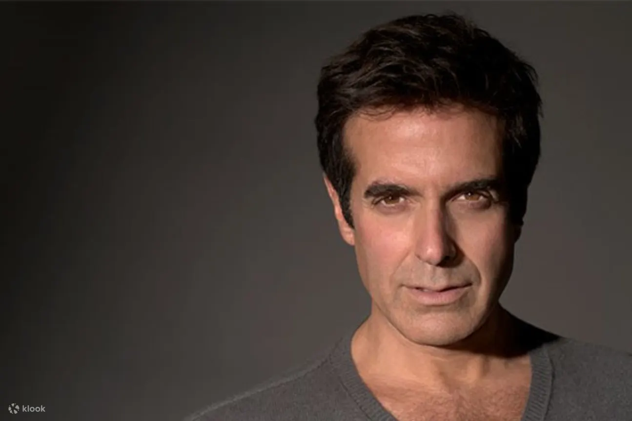 拉斯维加斯大卫·科波菲尔魔术秀 (David Copperfield in Las Vegas)