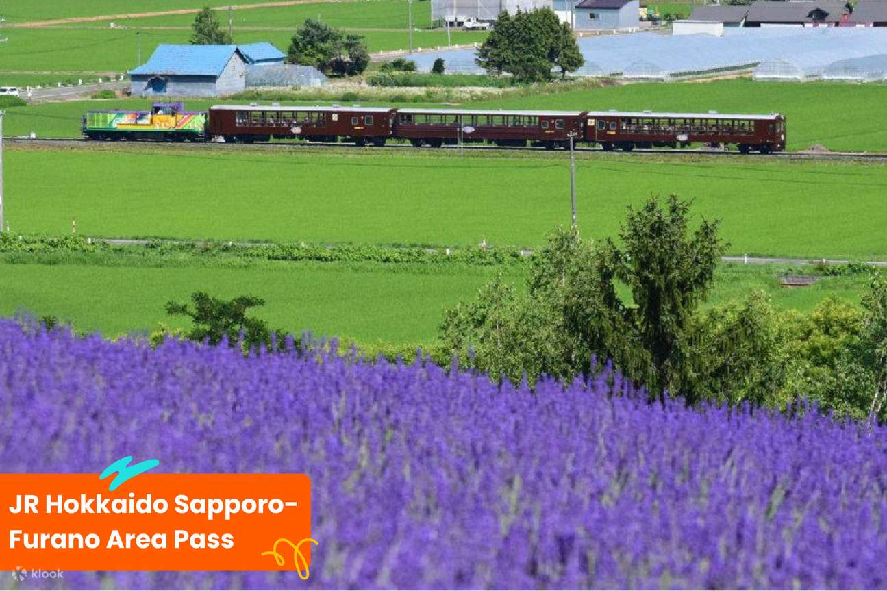 JR Hokkaido Sapporo-Furano Area Pass